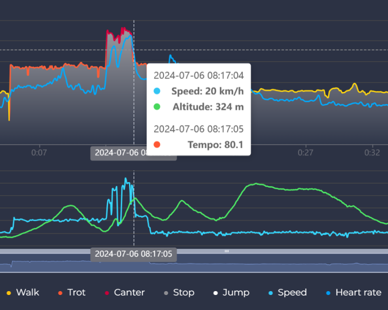 Pace and Regularity